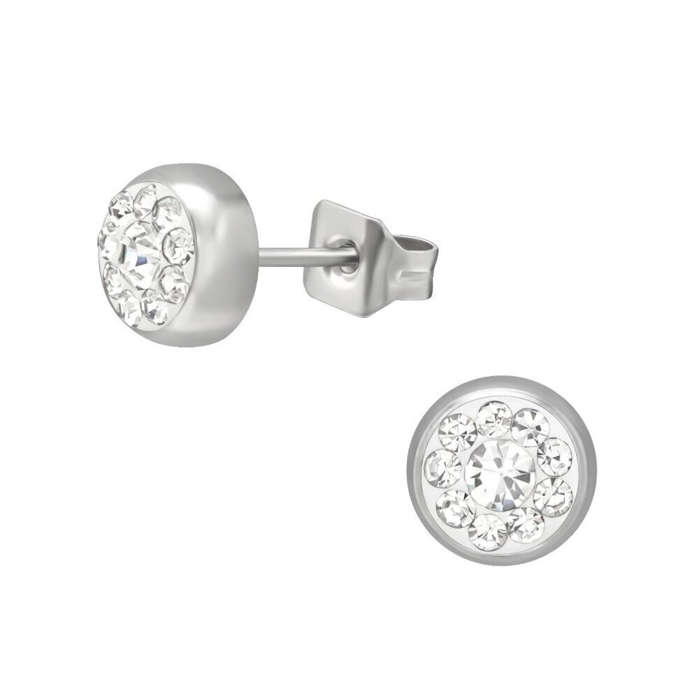 Stainless Steel Round Crystal Stud Earrings | 20 Stones